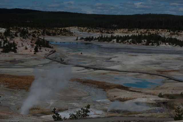 Porcelain Basin at Norris Geyser Basin